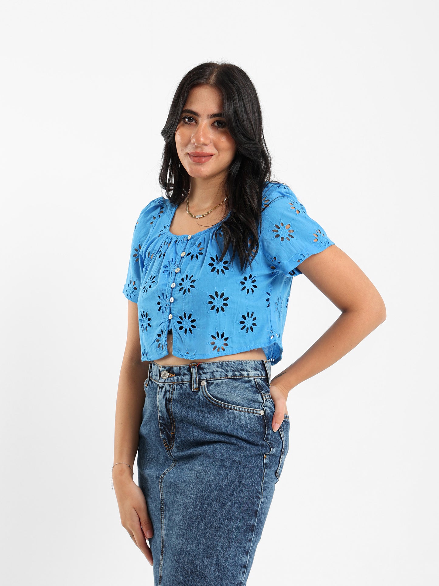 Perforated Embroidery Cropped Blouse