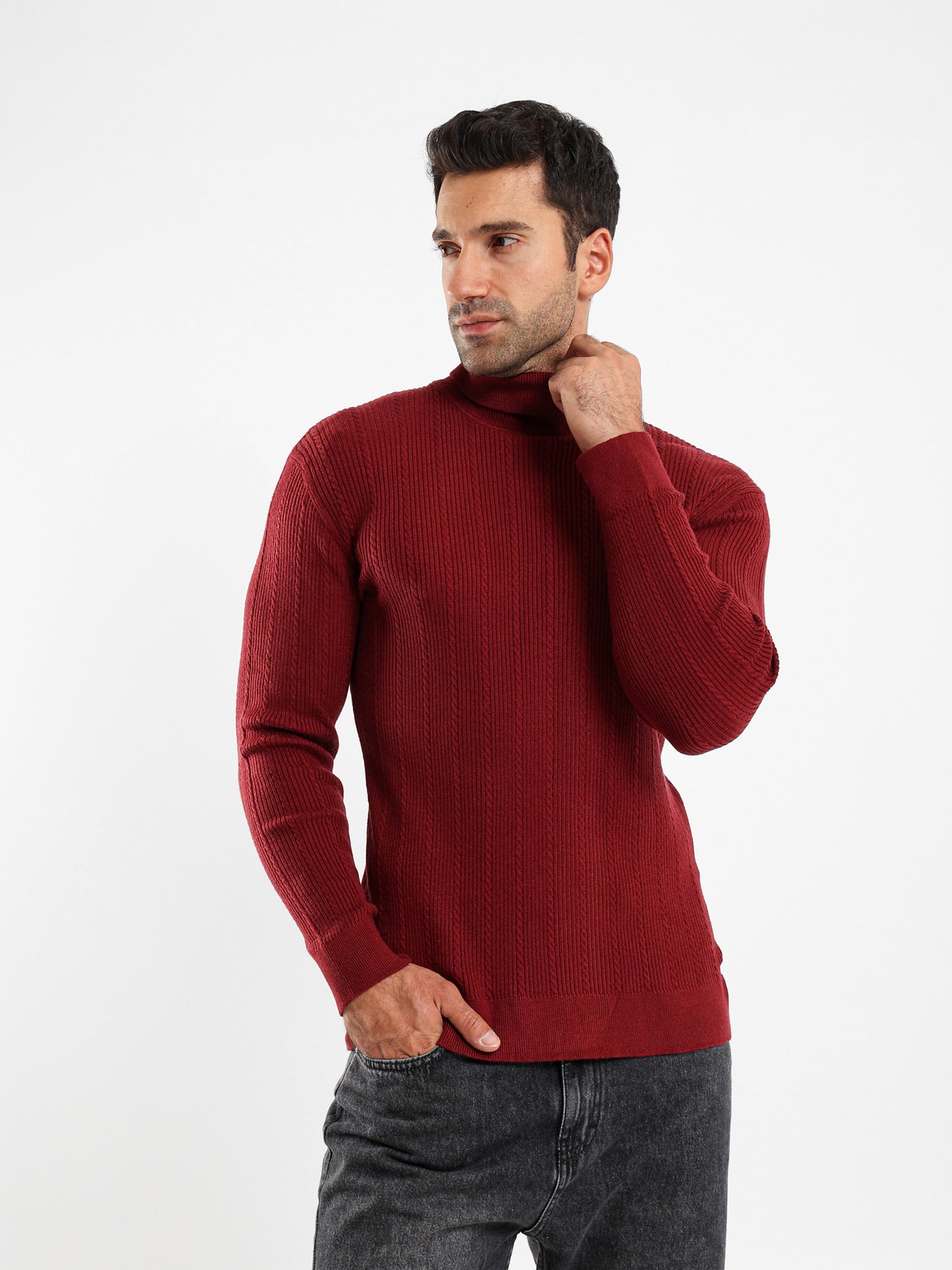 Regular Fit High Neck Pullover