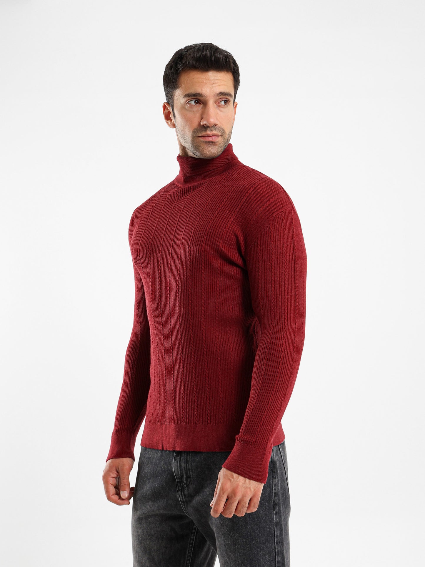Regular Fit High Neck Pullover