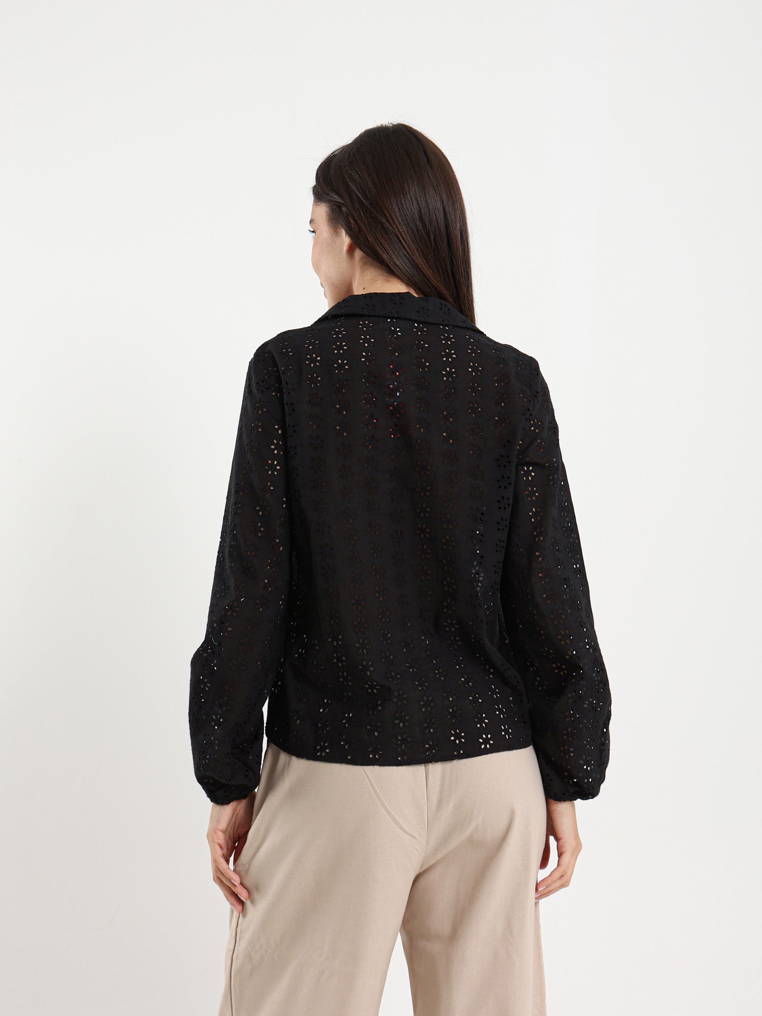Perforated Embroidery Cropped Blouse