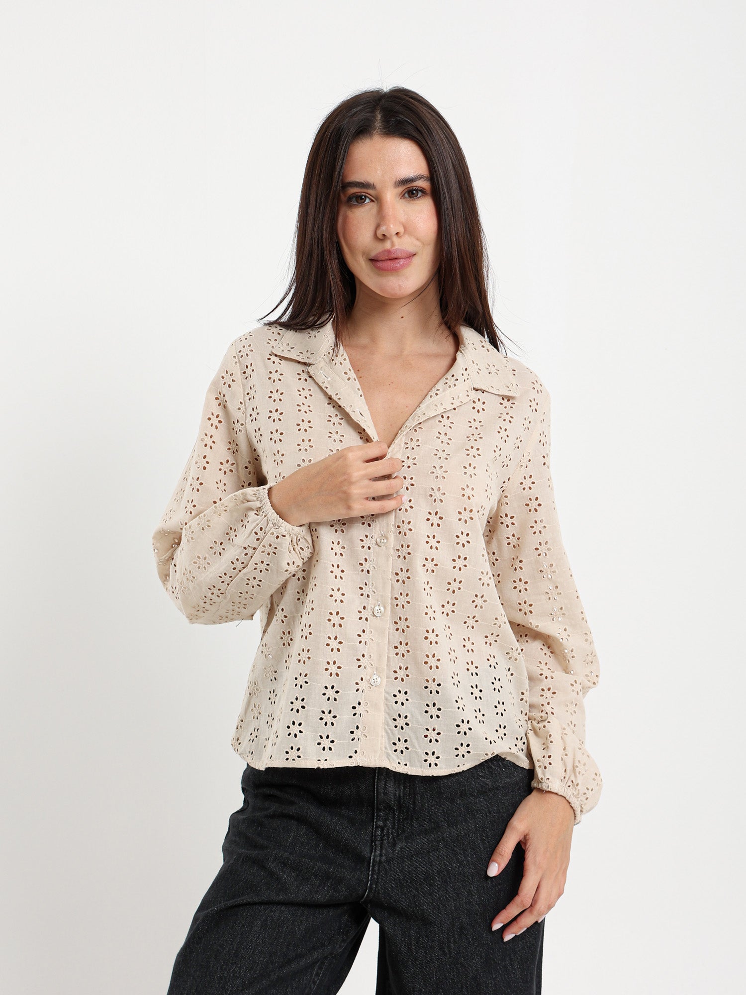 Perforated Embroidery Cropped Blouse