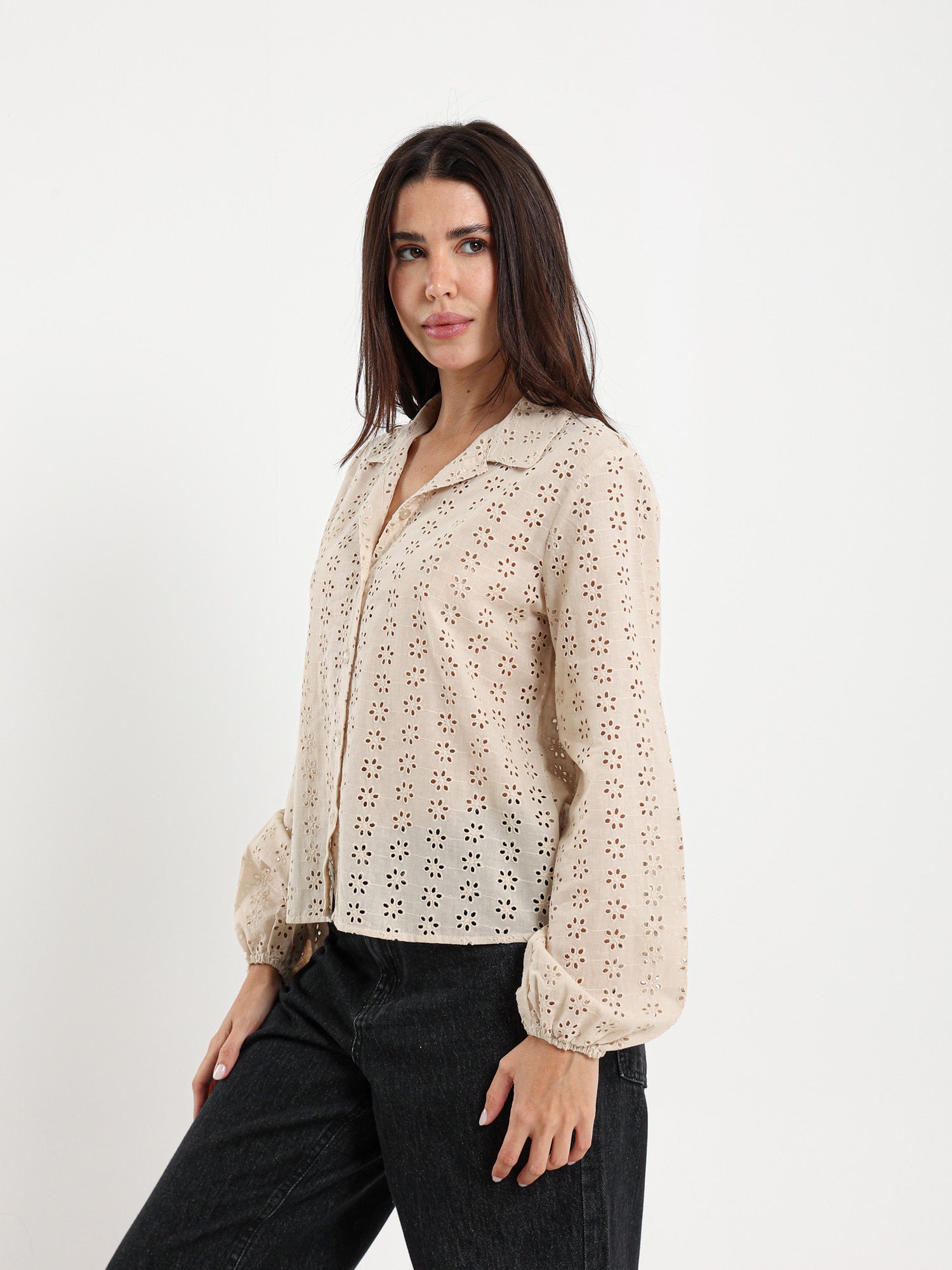 Perforated Embroidery Cropped Blouse
