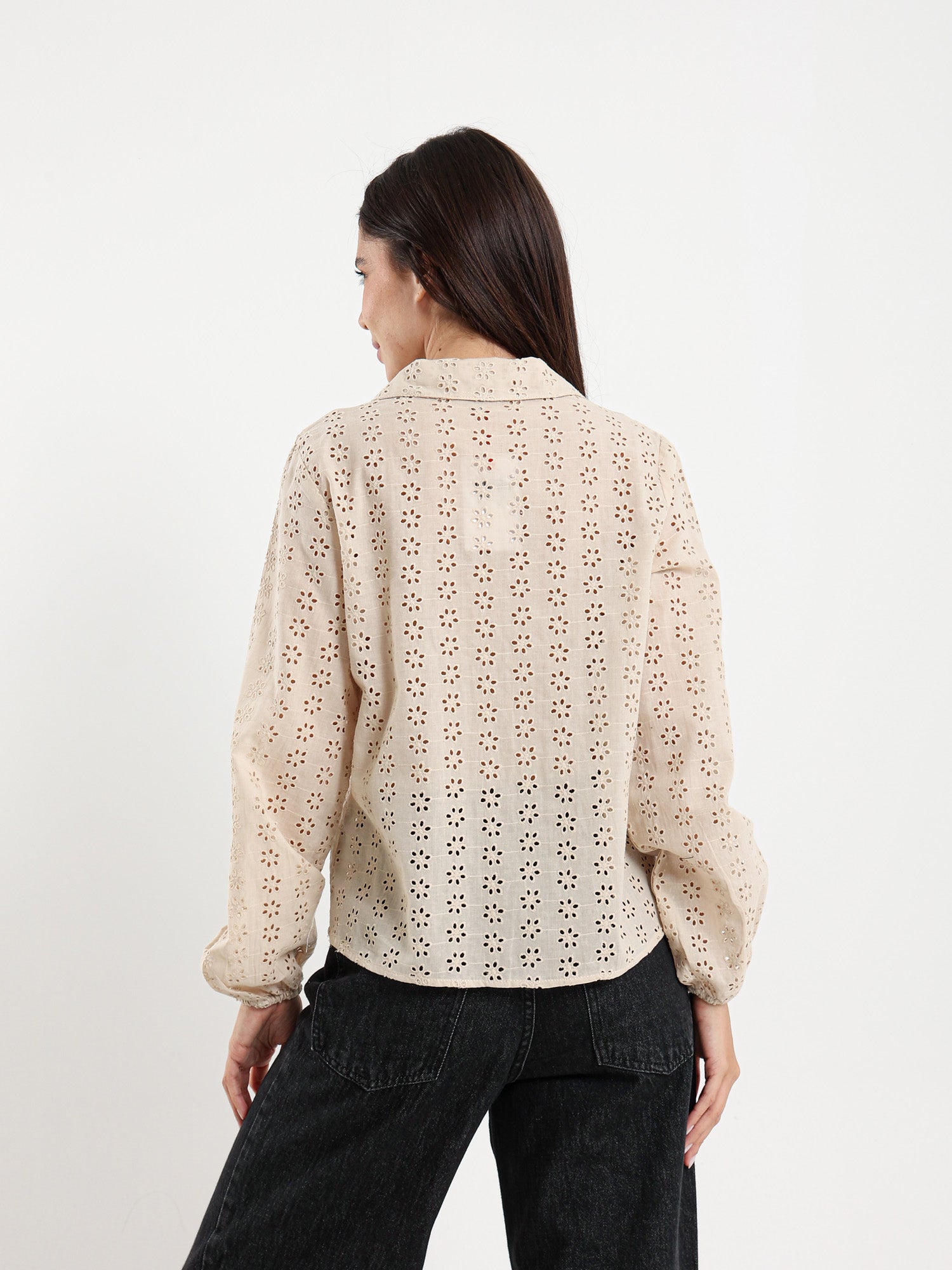 Perforated Embroidery Cropped Blouse