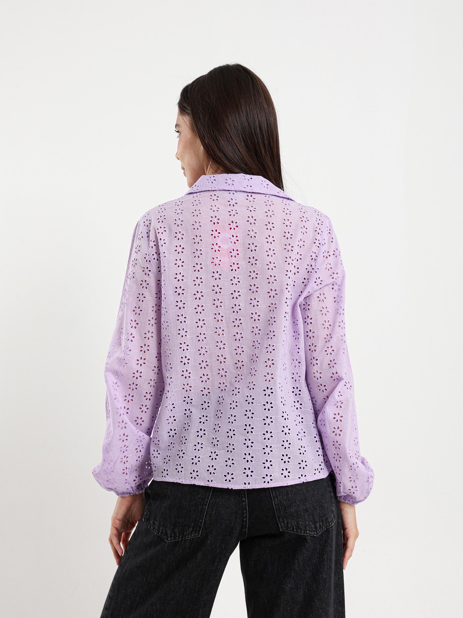 Perforated Embroidery Cropped Blouse