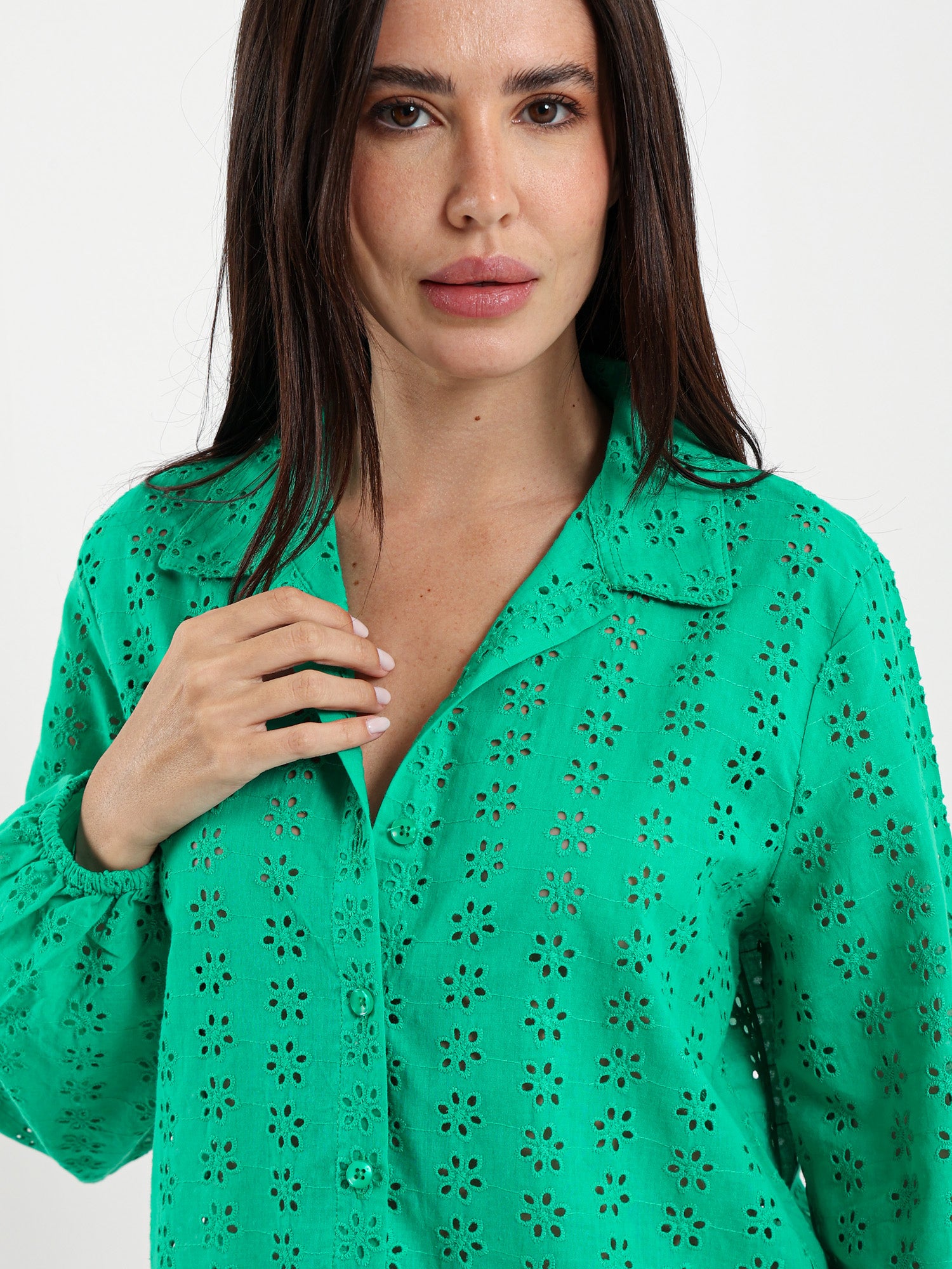 Perforated Embroidery Cropped Blouse