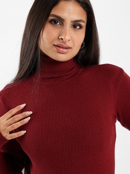 Fitted Turtleneck Pullover