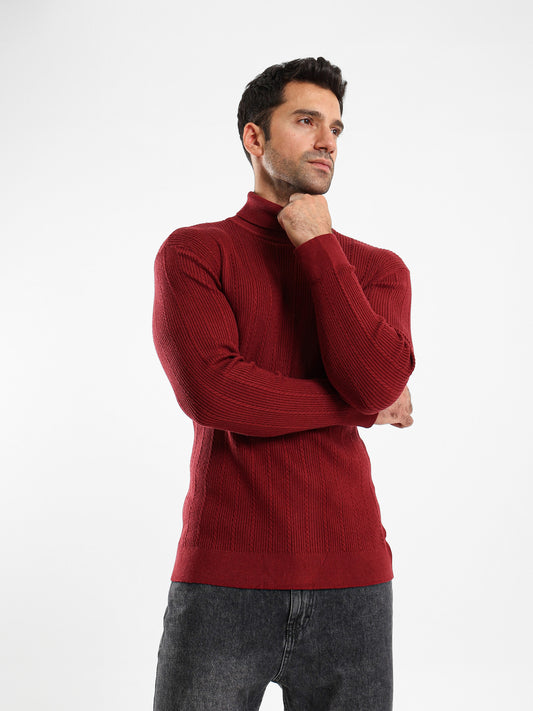 Regular Fit High Neck Pullover