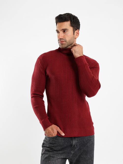 Regular Fit High Neck Pullover