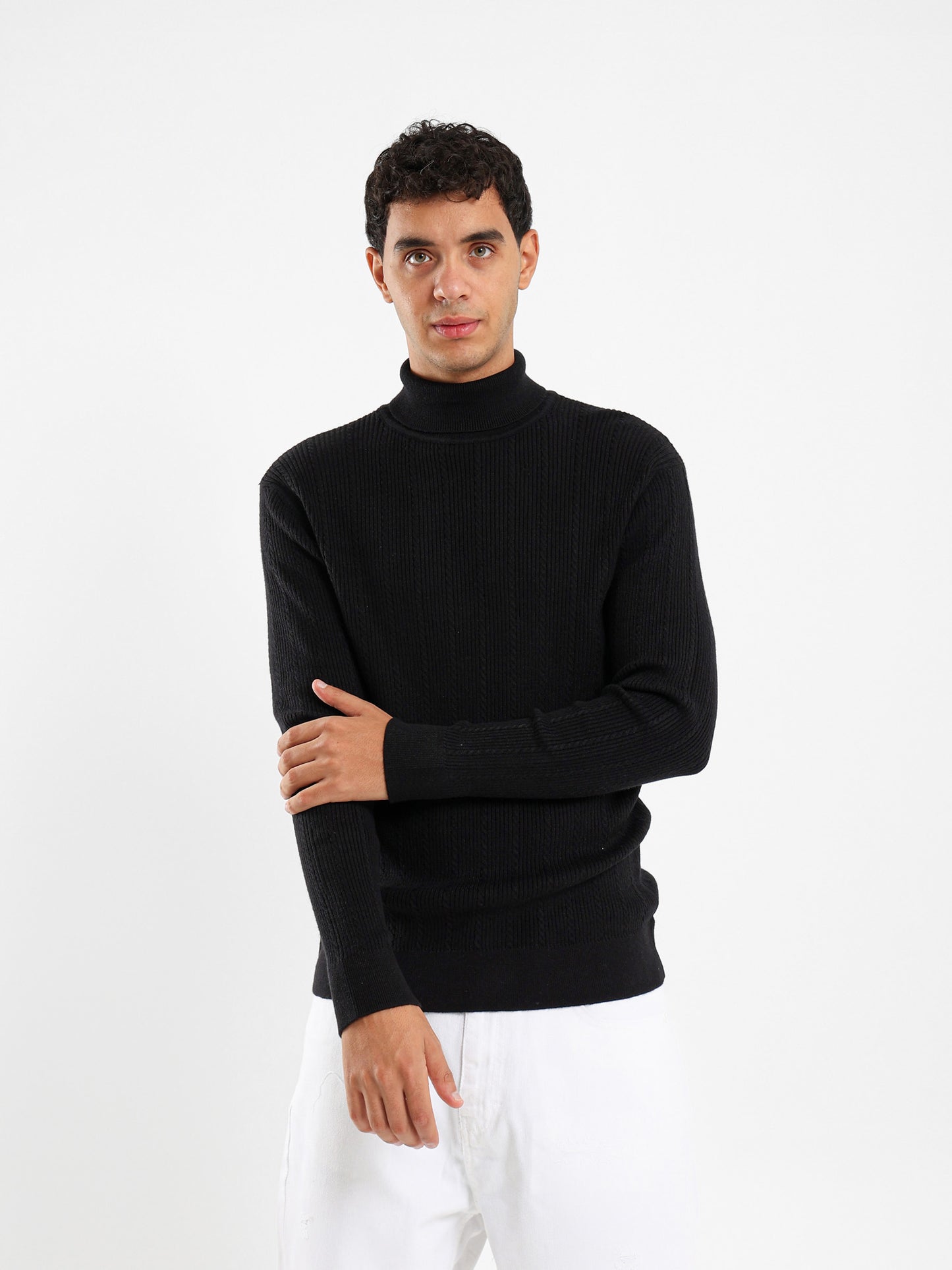 Regular Fit High Neck Pullover