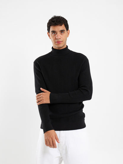 Regular Fit High Neck Pullover