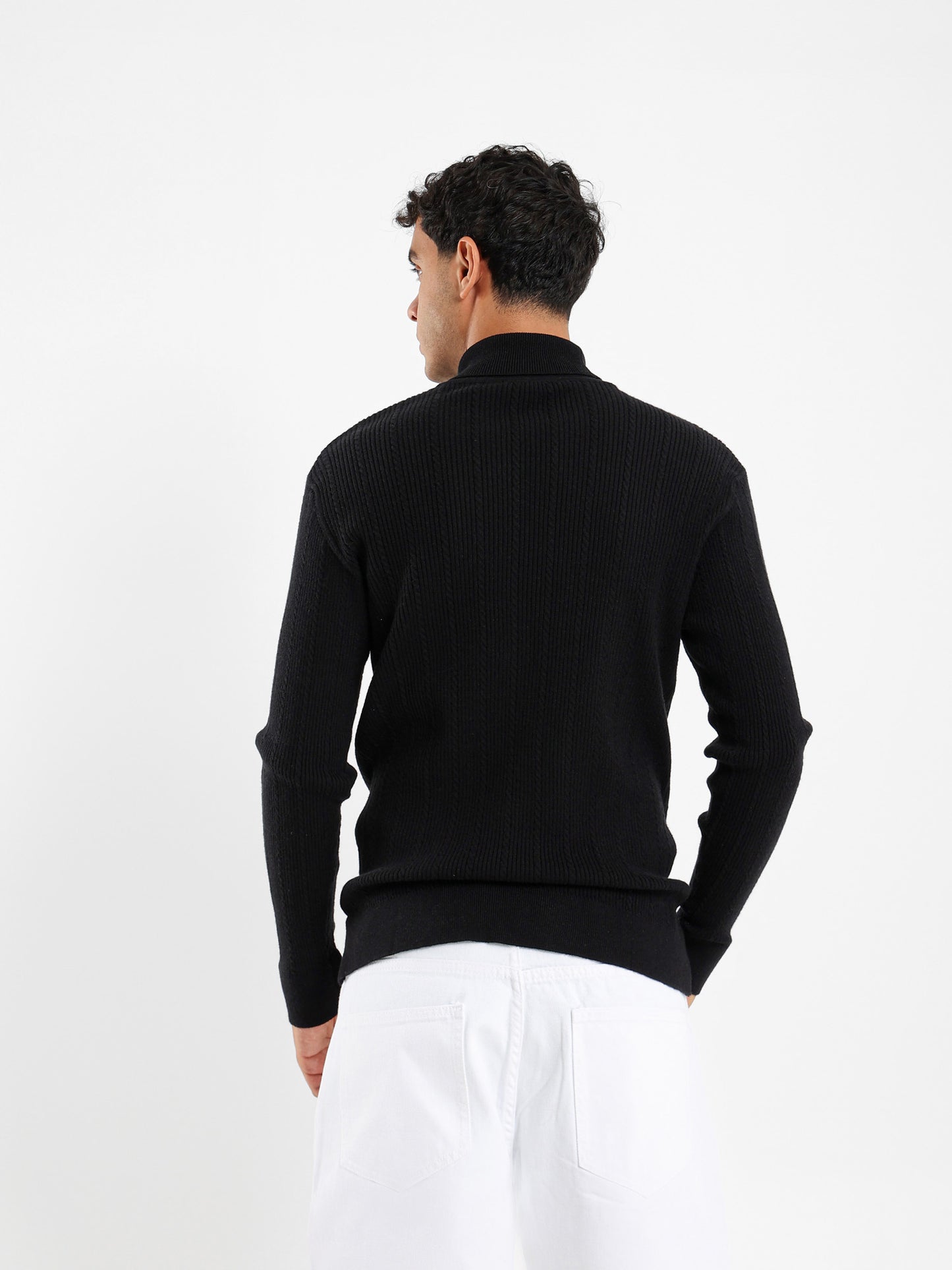 Regular Fit High Neck Pullover