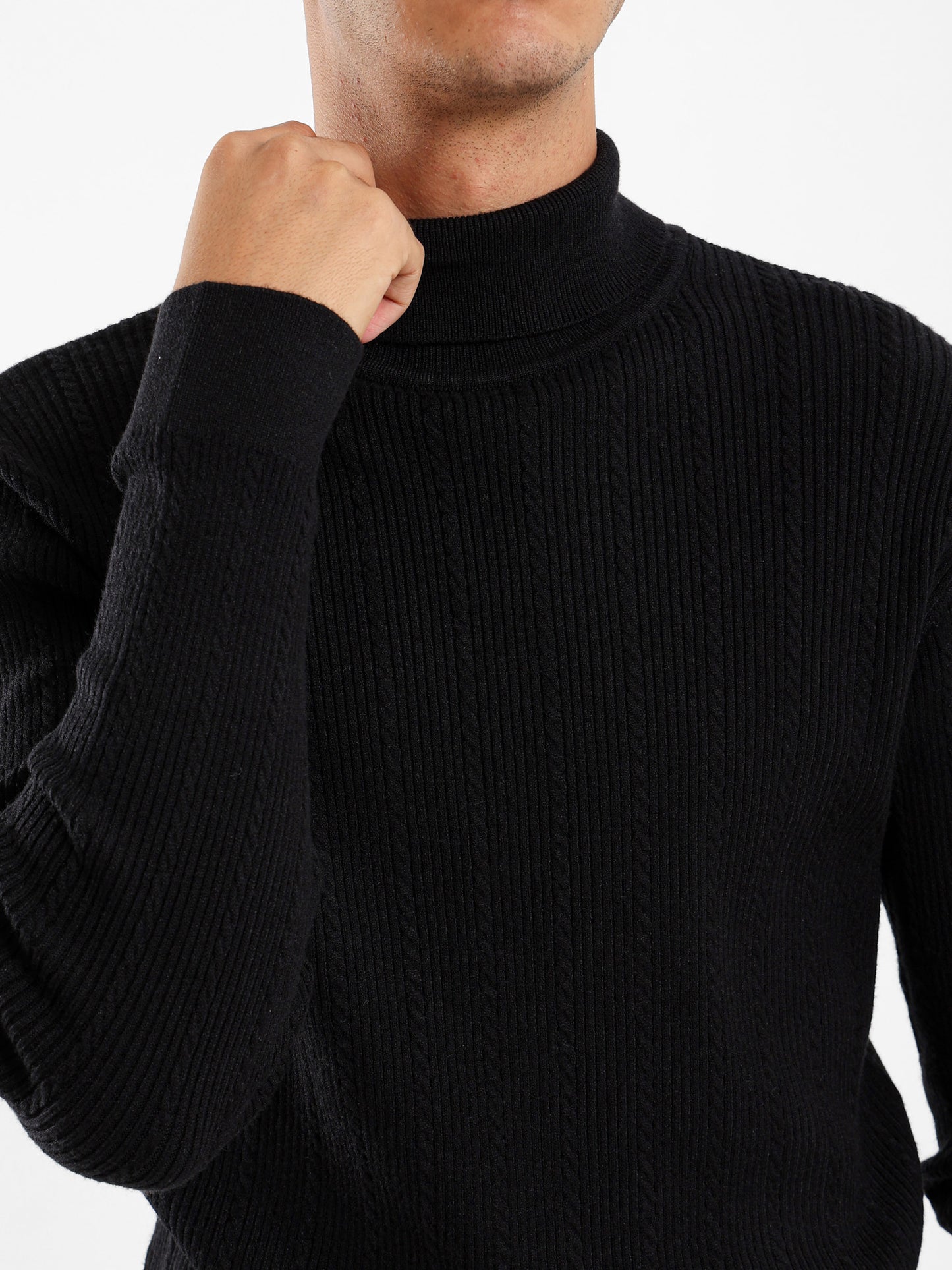 Regular Fit High Neck Pullover