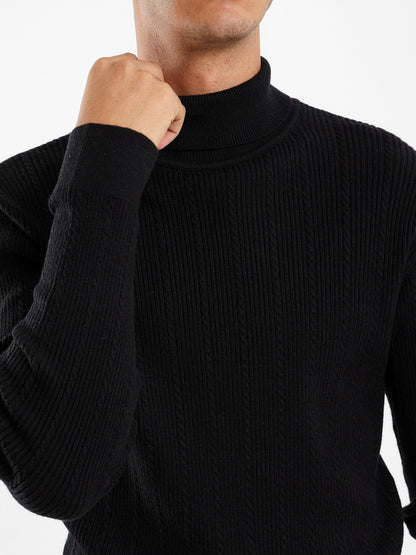 Regular Fit High Neck Pullover