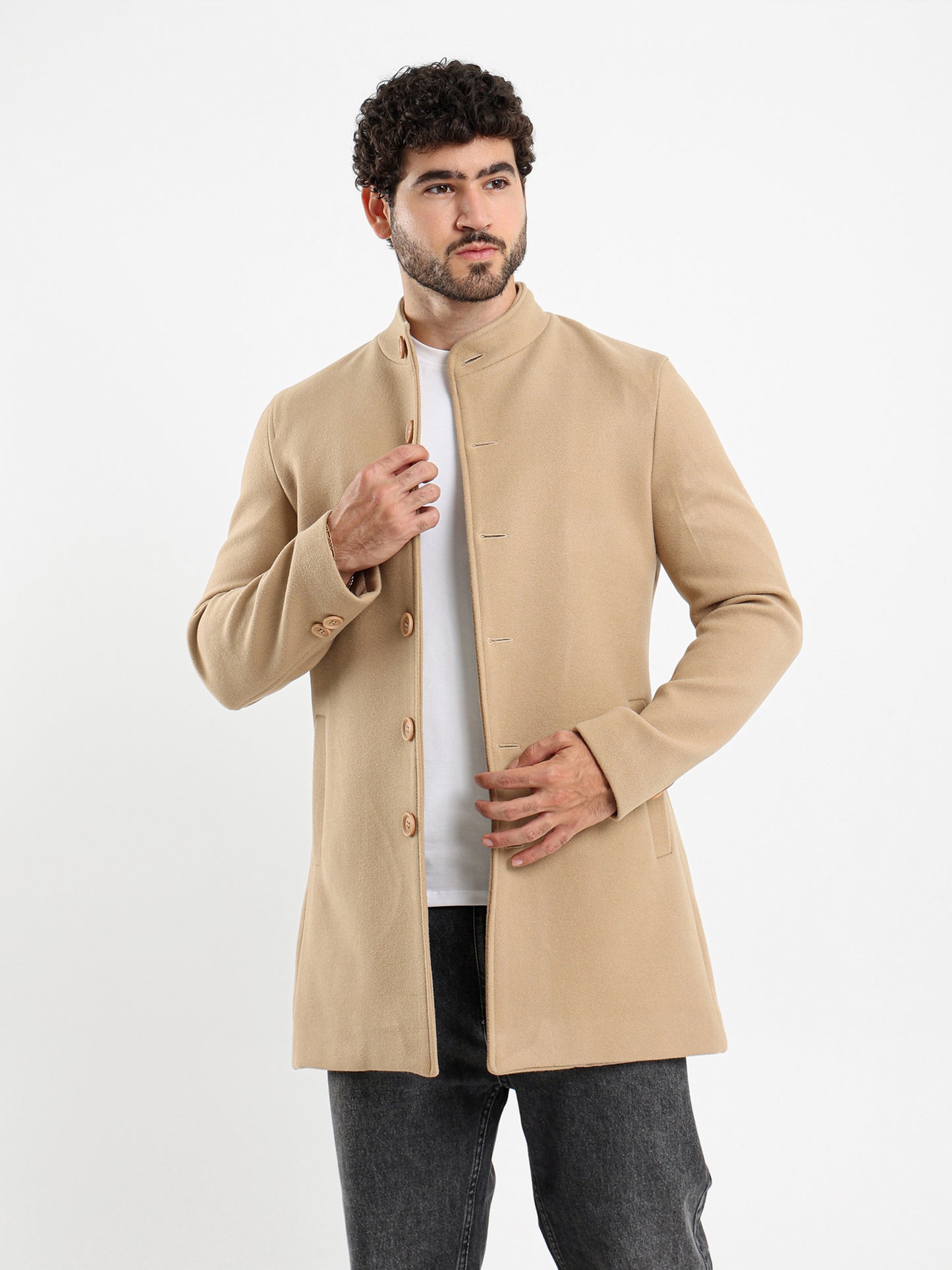 Regular Fit Wool Coat with High Collar