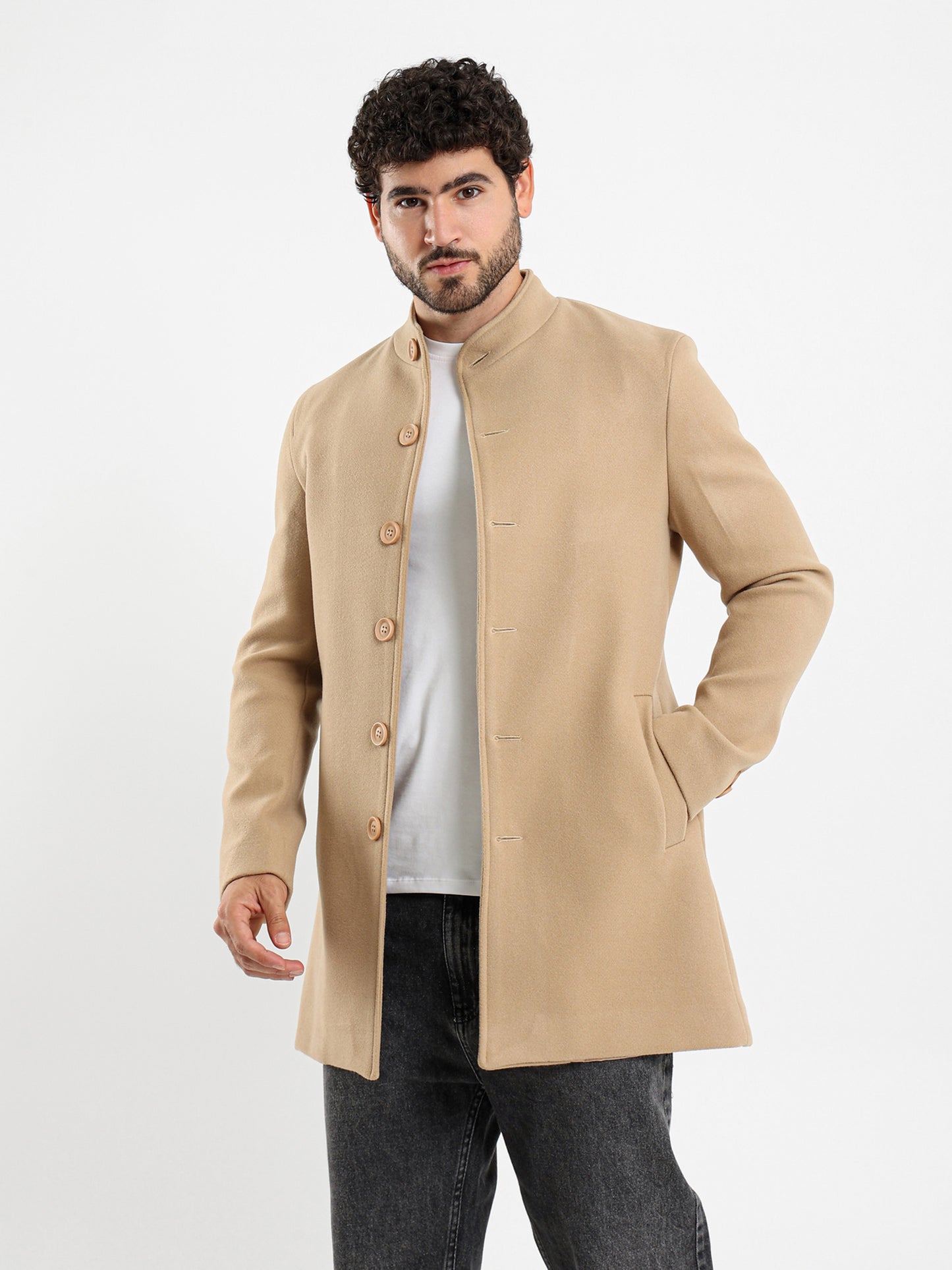 Regular Fit Wool Coat with High Collar