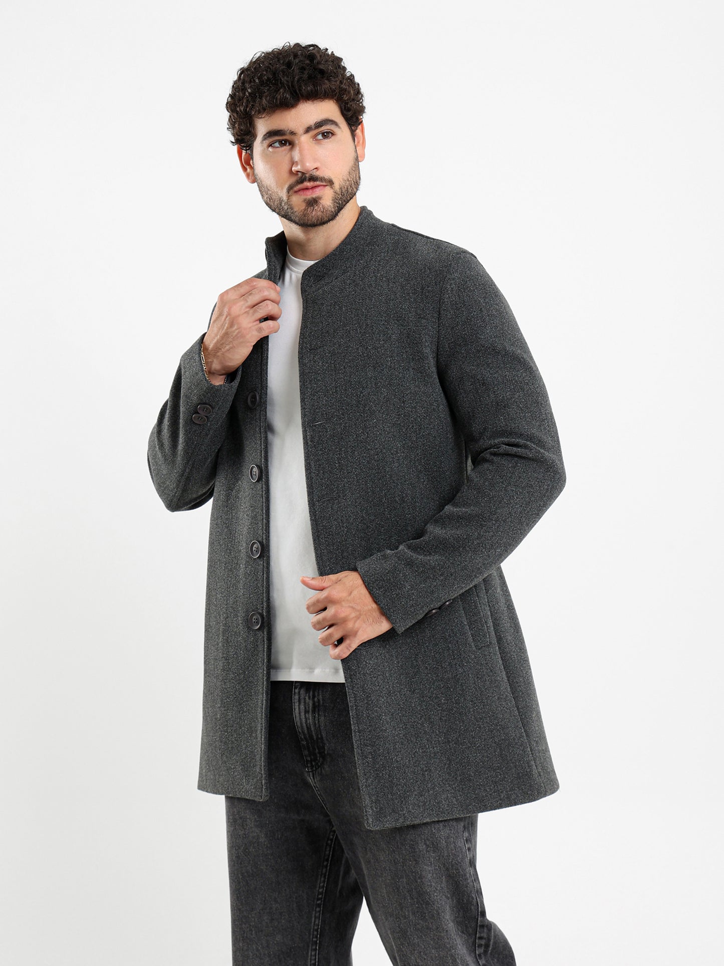 Regular Fit Wool Coat with High Collar