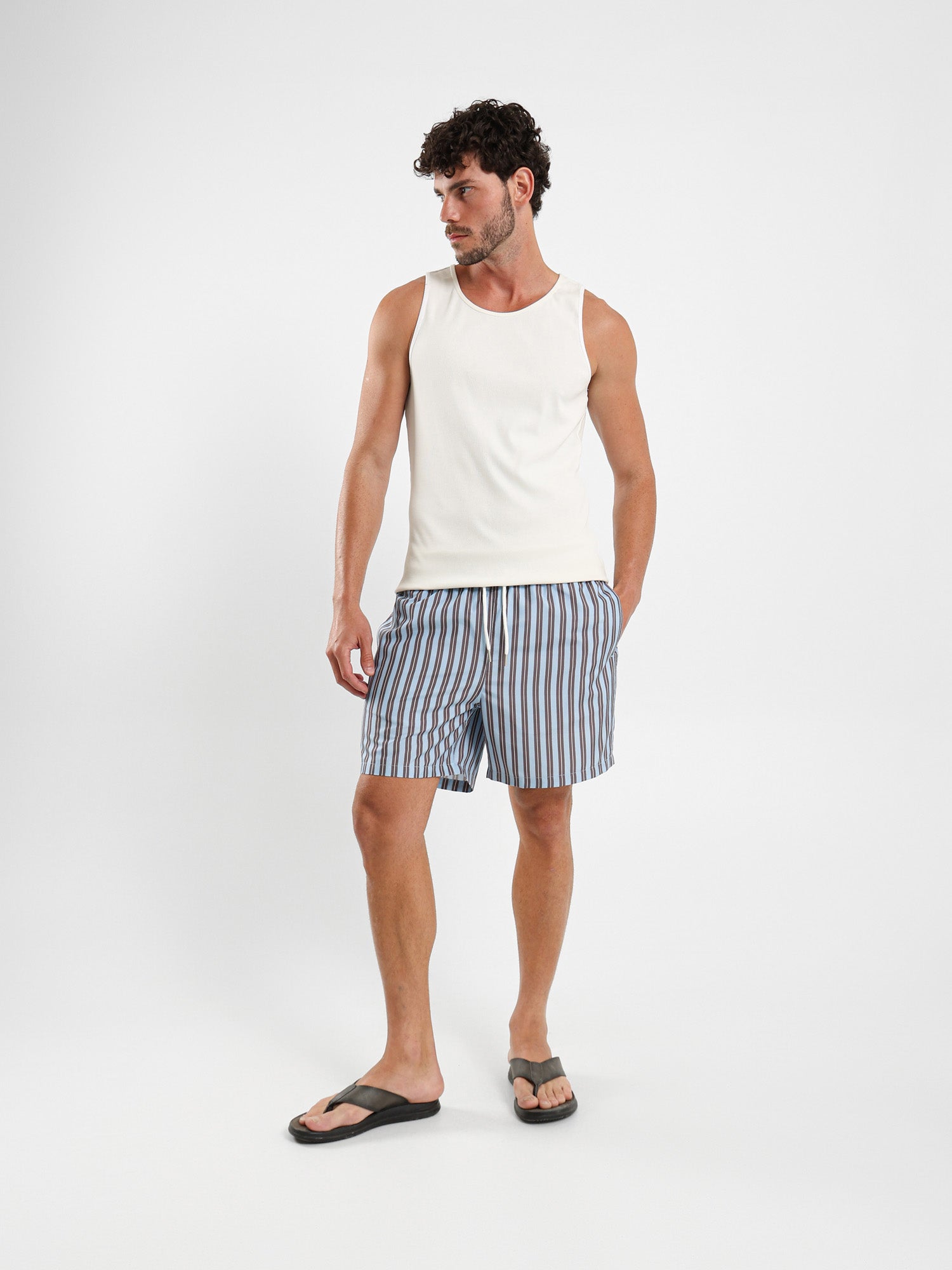 Striped Swim Shorts