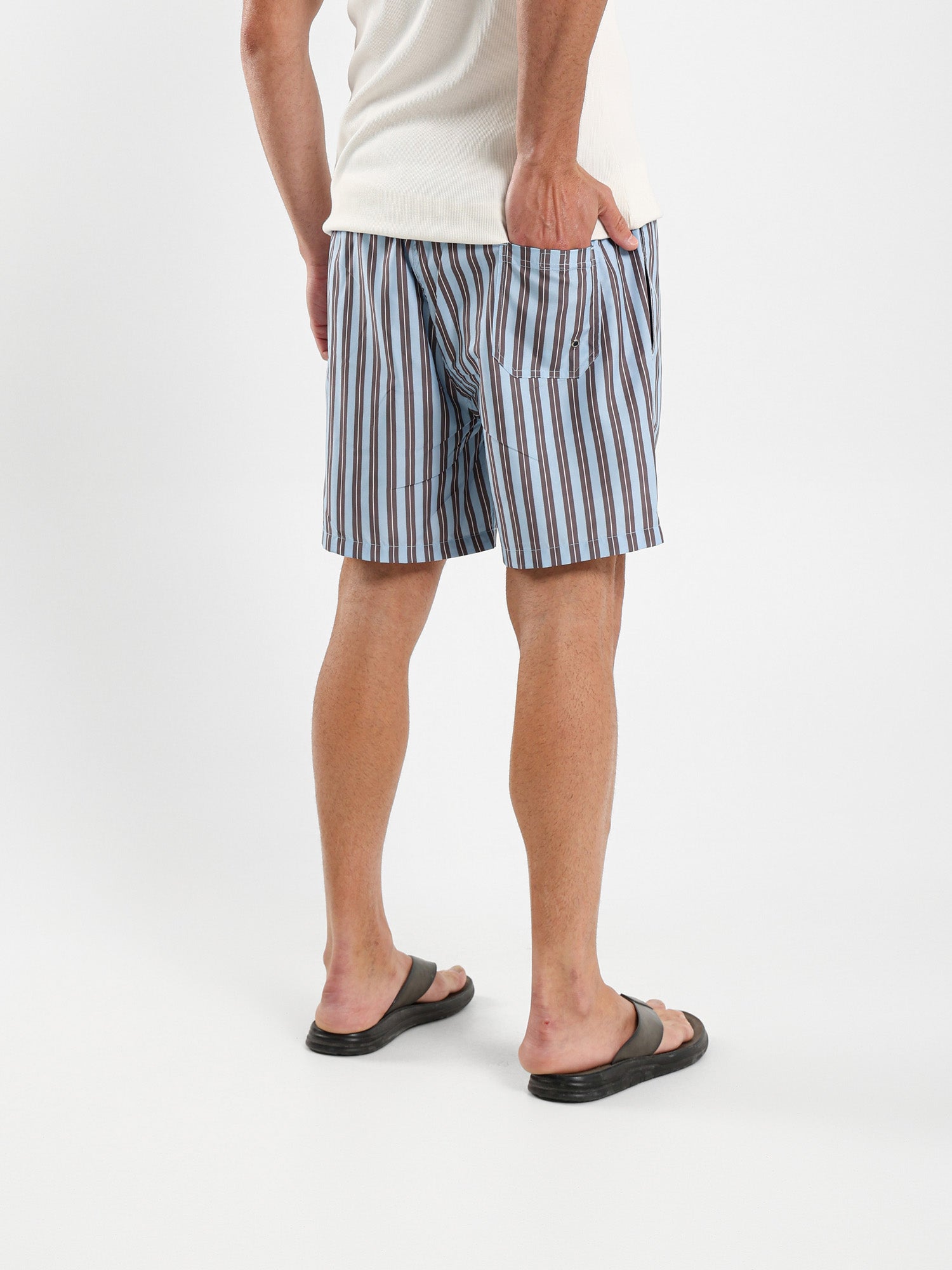 Striped Swim Shorts