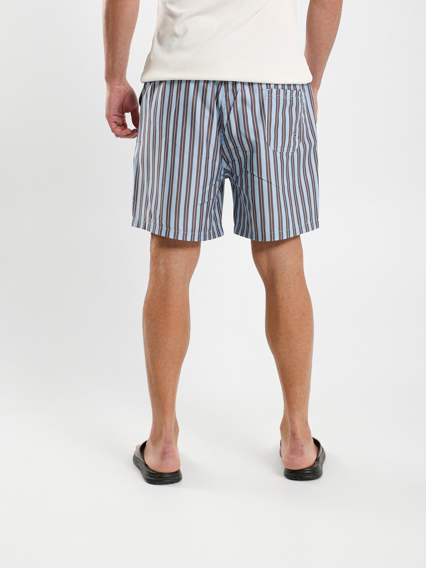 Striped Swim Shorts