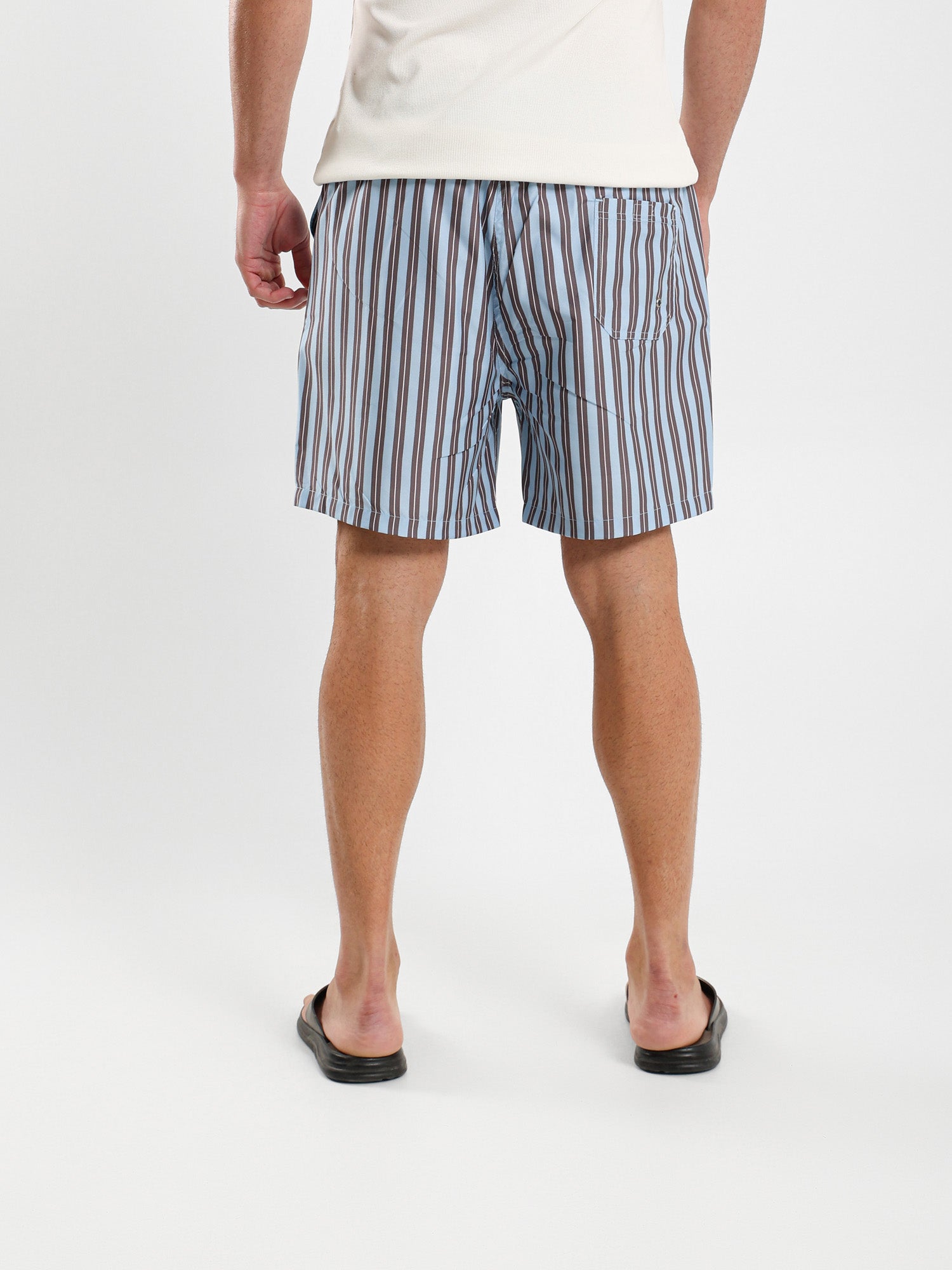 Striped Swim Shorts