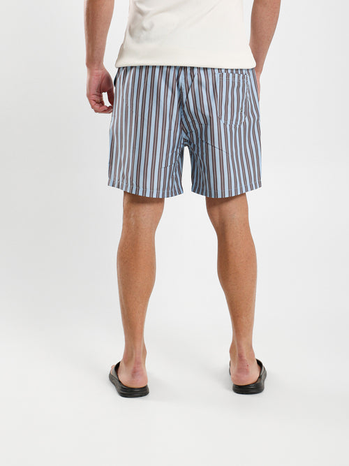 Striped Swim Shorts